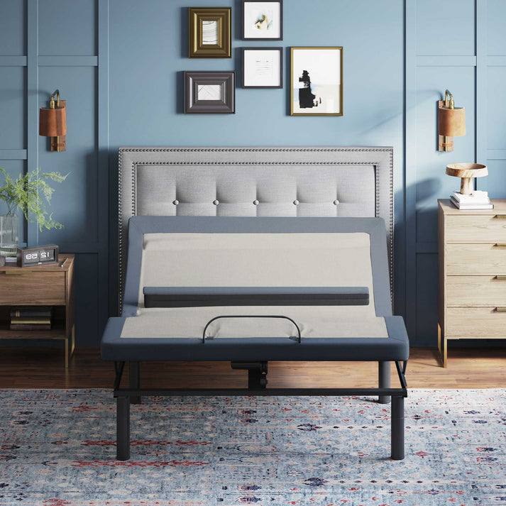 BT-6500 Power Adjustable Bed by BedTech