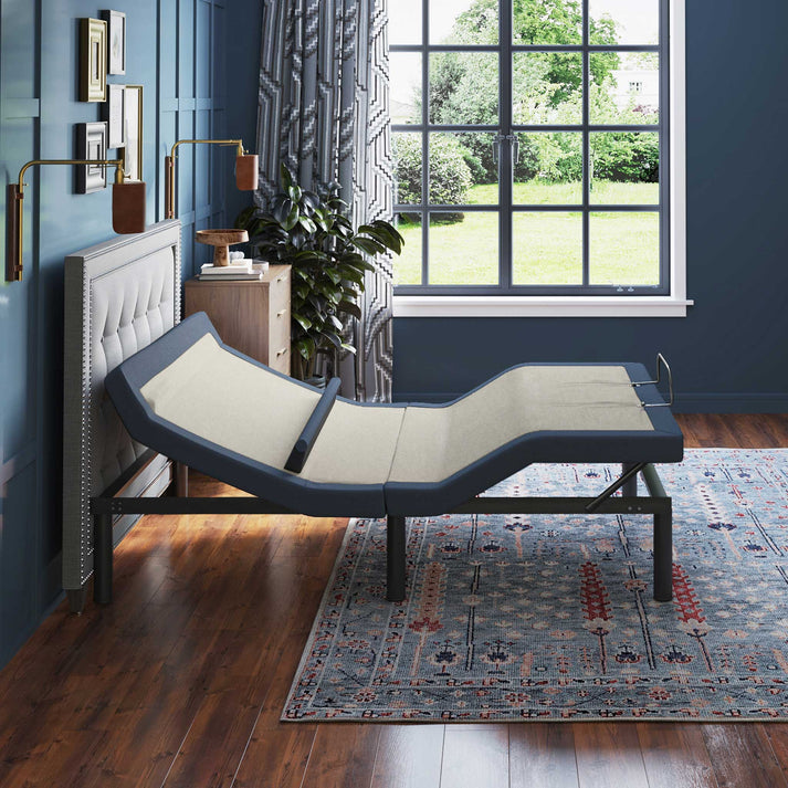 BT-6500 Power Adjustable Bed by BedTech