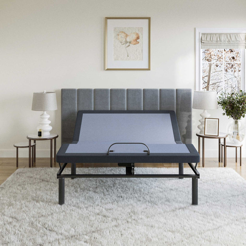 BT-2500 Power Adjustable Bed by BedTech