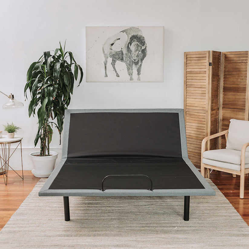 BT-X4 Power Adjustable Bed by BedTech